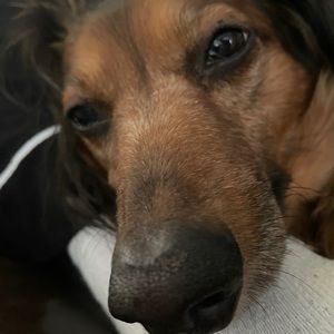 Meet your Posher, Fernando